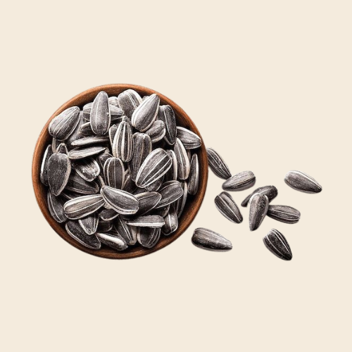 Seeds